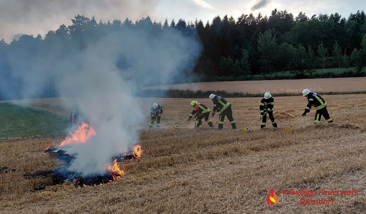 Übung des Wald- und Vegetationsbrandzugs